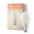 Ledvance Classic LED E27 Birne Fadenlampe Matt 4W 470lm - 840 Kaltweiß | Ersatz für 40W